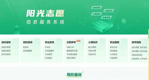 市場的喧囂與考生的心聲 中高考志愿填報咨詢產業(yè)的雙重奏