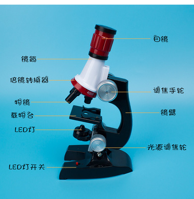 探索微觀世界的魔法窗口 生物科學1200倍高清顯微鏡玩具測評